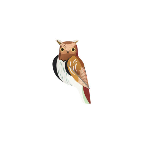 Tawny Owl Garden Birds Διακόσμηση Τοίχου