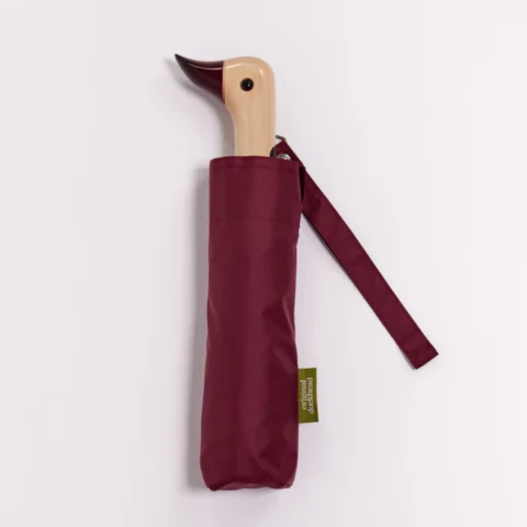 Cherry Umbrella