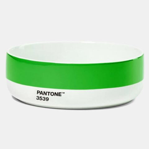 Pantone Bowl Green
